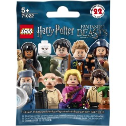 71022- Harry Potter et Les Animaux Fantastiques