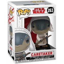 263- Star Wars - Caretaker