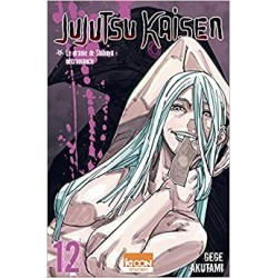 12 - Jujutsu Kaisen