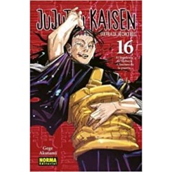 16 - Jujutsu Kaisen