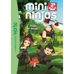 07- Ninjas en danger !