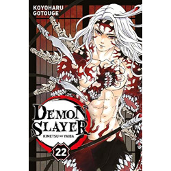 22 - Demon Slayer