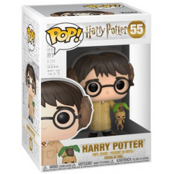 55 - Harry Potter