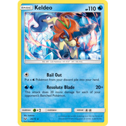 Keldeo 26/73 pv110