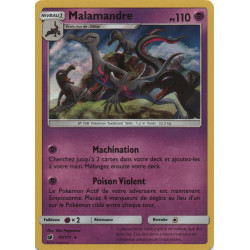 Malamandre 47/111 pv110