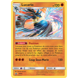 Lucario SM54 pv120