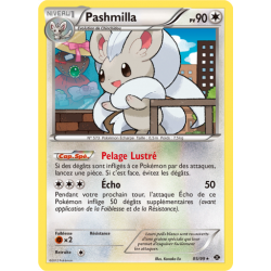 Pashmilla  85/99 pv90