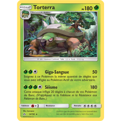 Torterra 9/156 H