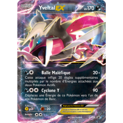 Yveltal XY150 pv170