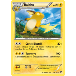 Raichu 43/146 H