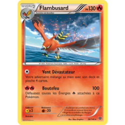 Flambusard 28/146 pv130