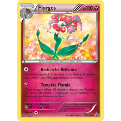 Florges 66/106 pv110