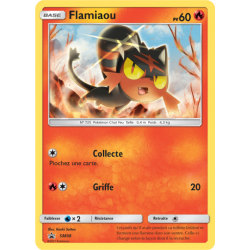 Flamiaou SM08 pv60