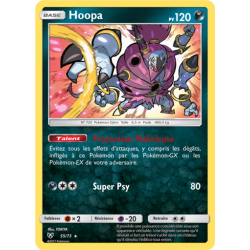 Hoopa 55/73 pv120