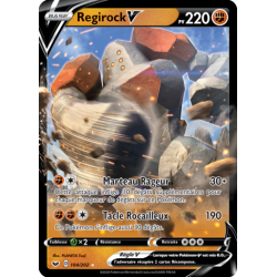 Regirock 104/202 V