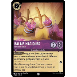 Balais magiques 47/204