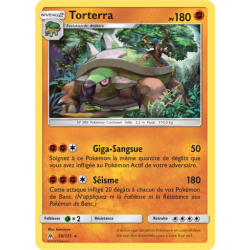 Torterra 58/131 R