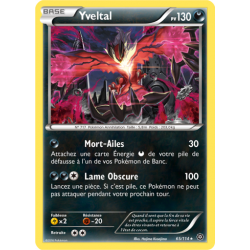 Yveltal 65/114 R