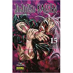 15 - Jujutsu Kaisen