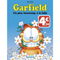 47 - Garfield un peu, beaucoup, à la folie