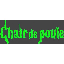 Lot 12 livres Chair de poule