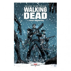 Lot 10 livres Walking Dead